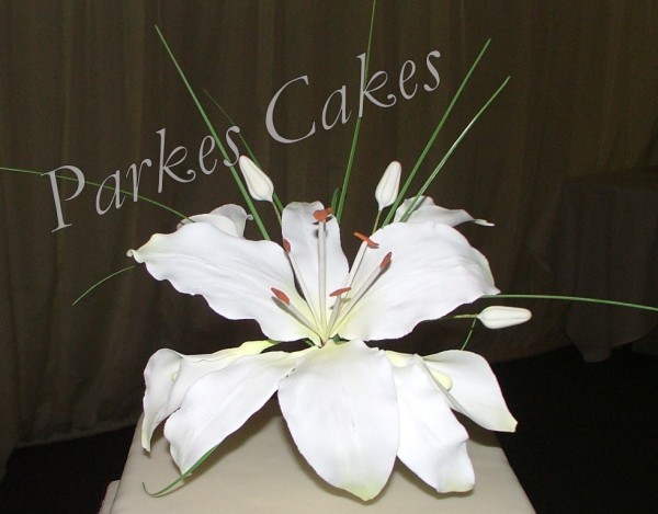 Sally wed cake lilly close (600 x 469)